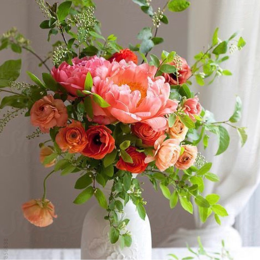 Welcome To My Closet🍃